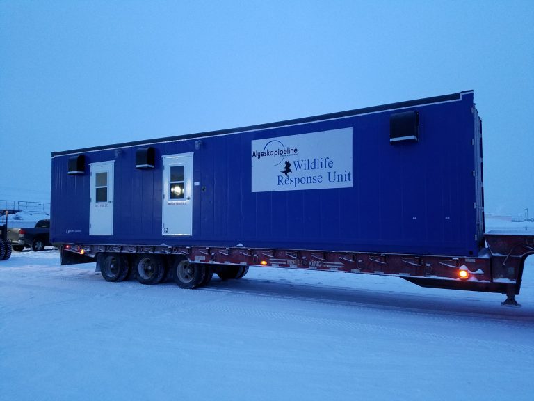 Custom modular building for Alyeska Pipeline Wildlife Response Unit being transported on a flatbed trailer in Alaska, built for remote operations and extreme winter conditions